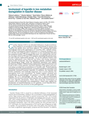 Involvement of hepcidin in iron metabolism dysregulation in Gaucher disease | Lefebvre, Thibaud